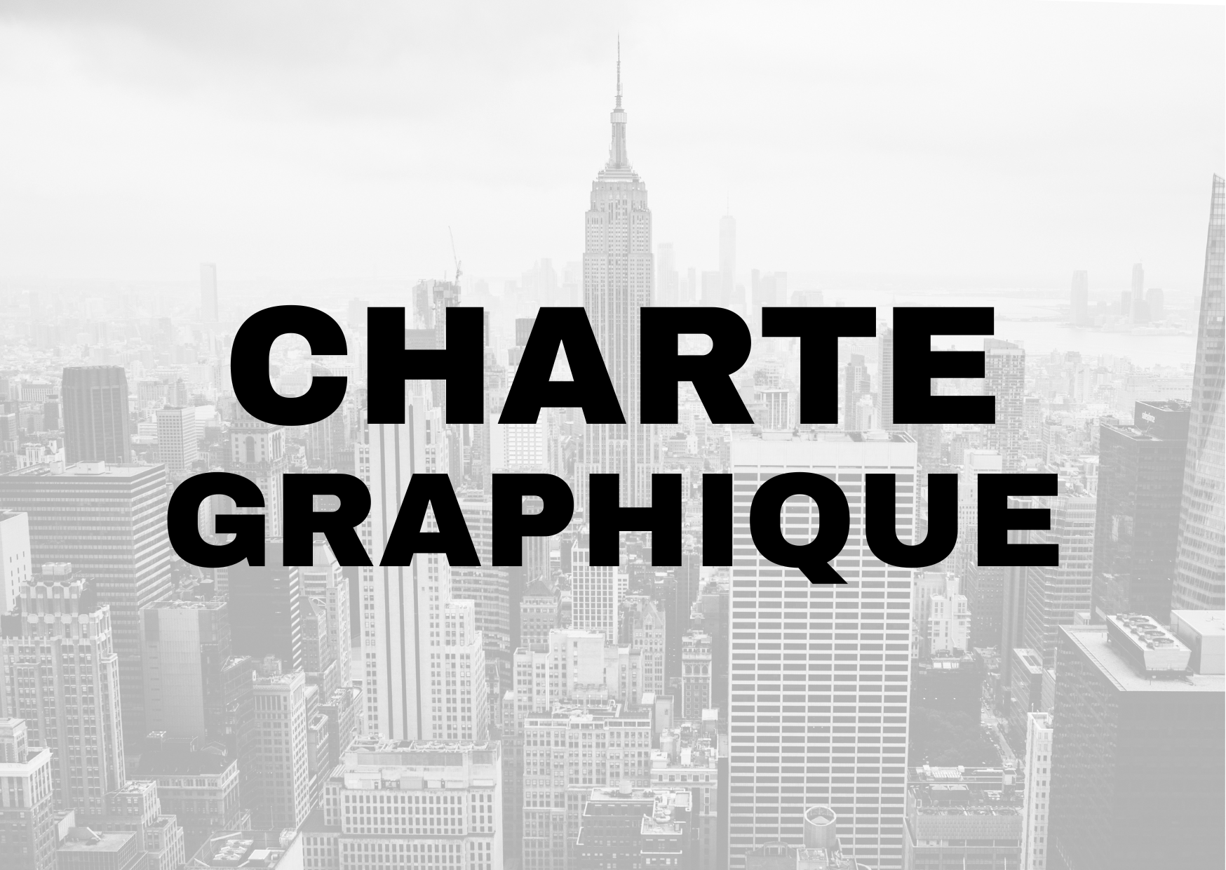 Création de votre charte graphique complète